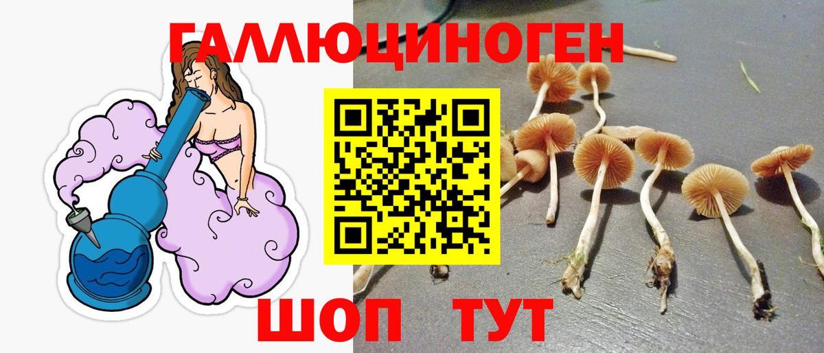 Псилоцибиновые грибы мицелий Радужный