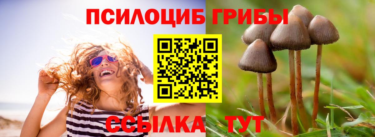 Галлюциногенные грибы ЛСД  Вход с VPN  Радужный  Галлюциногенные грибы Psilocybe 